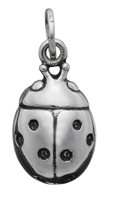 Charm Giovanni Raspini Charms in Argento 06444 - 06444